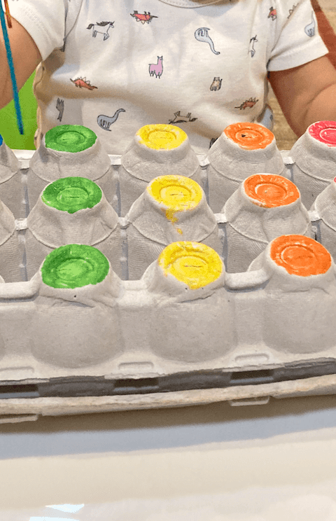 Egg Carton Color Match
