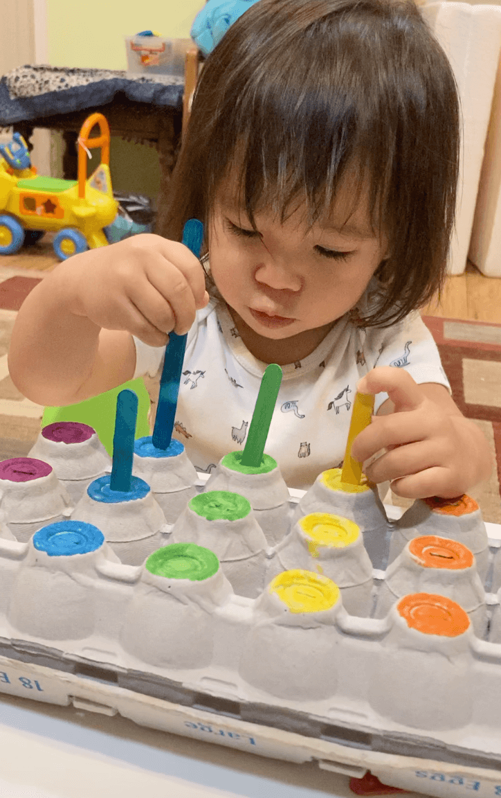Egg Carton Color Match