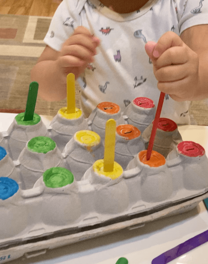 Egg Carton Color Match