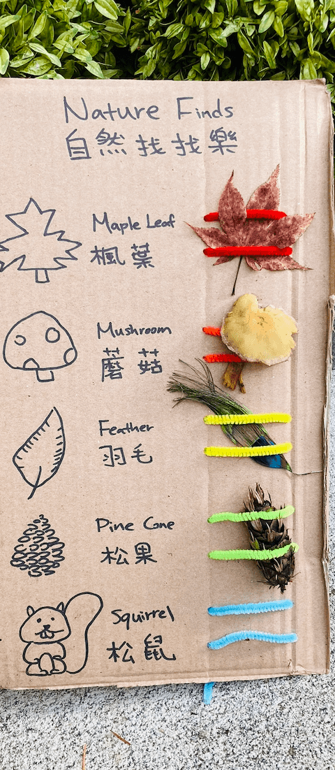 Cardboard Nature Treasure Hunt