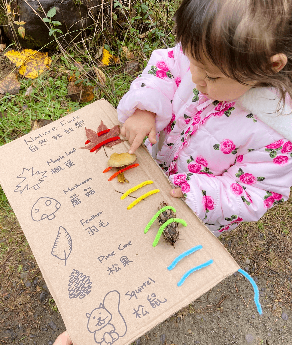 Cardboard Nature Treasure Hunt
