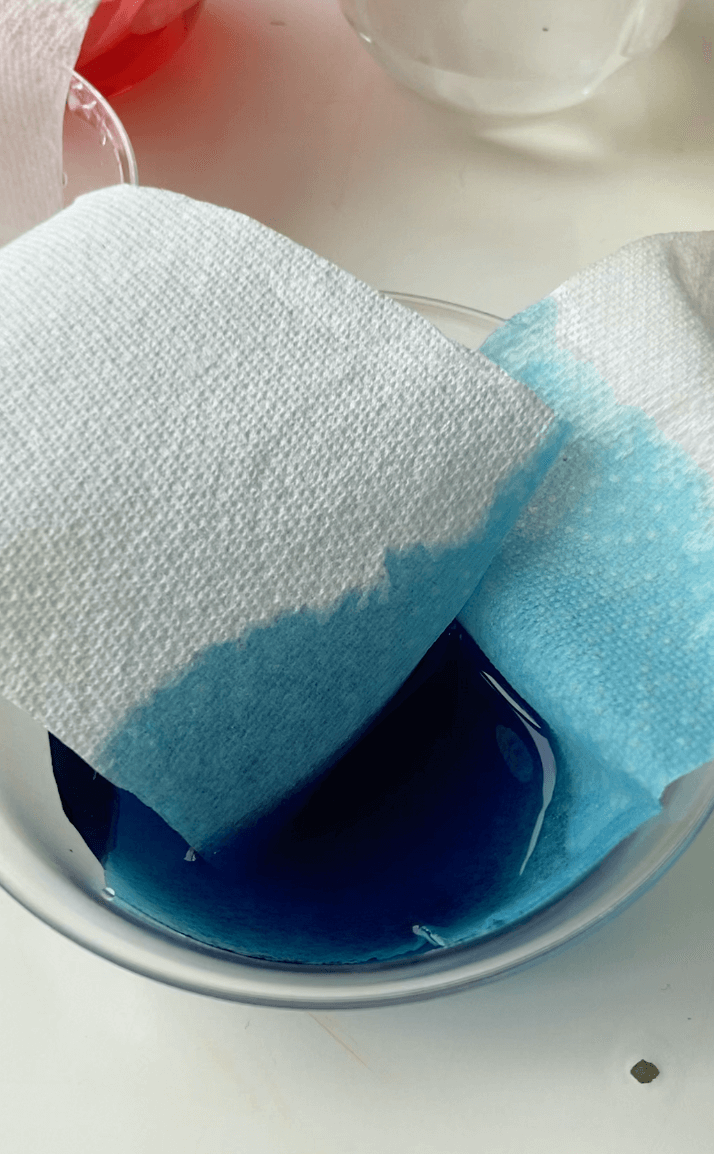 Paper Towel Rainbow
