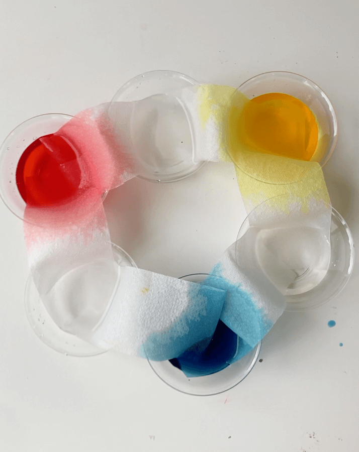 Paper Towel Rainbow