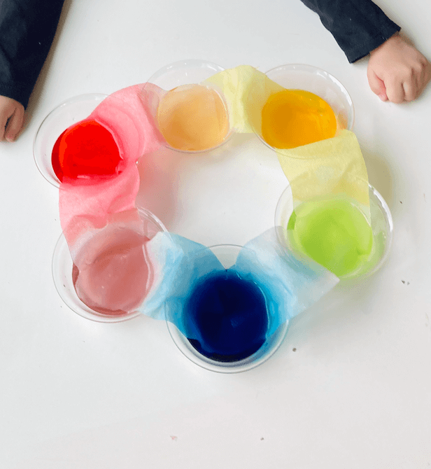 Paper Towel Rainbow