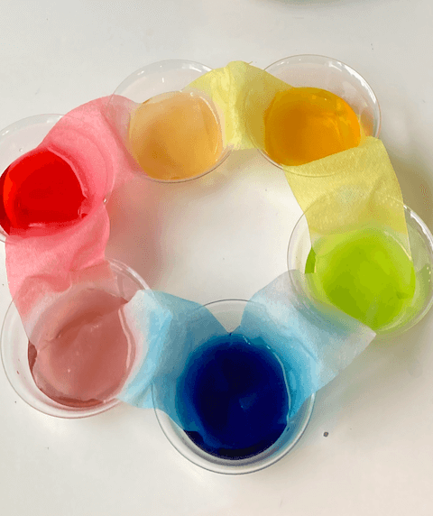 Paper Towel Rainbow