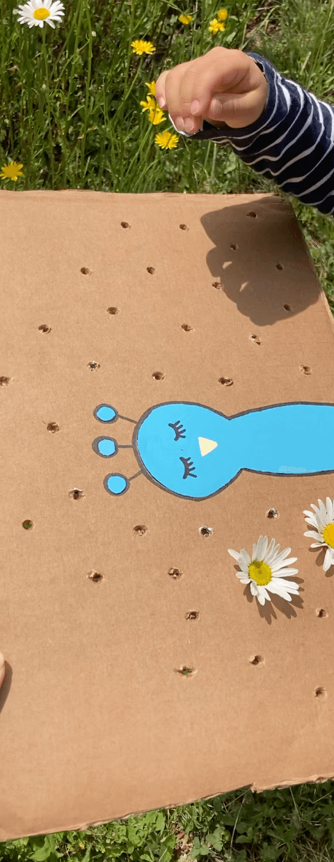 Peacock Nature Craft