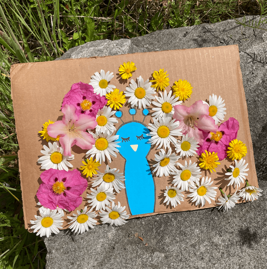 Peacock Nature Craft