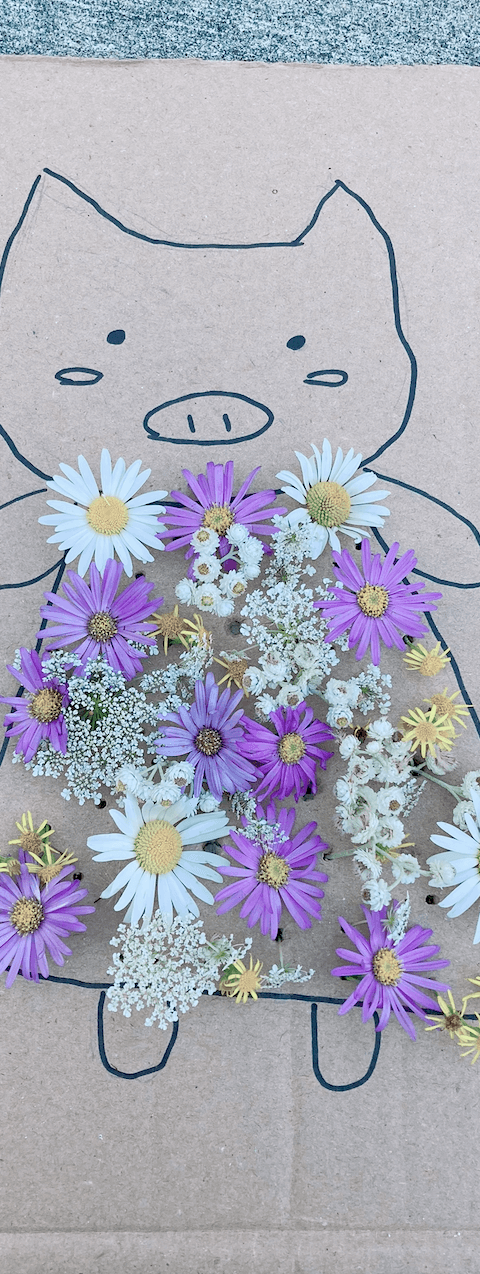 Piggy Nature Craft