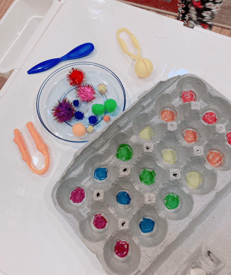 Egg Carton Pom-Pom Sort