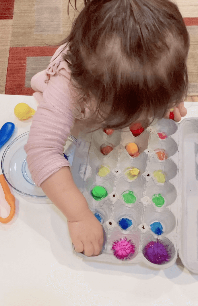 Egg Carton Pom-Pom Sort