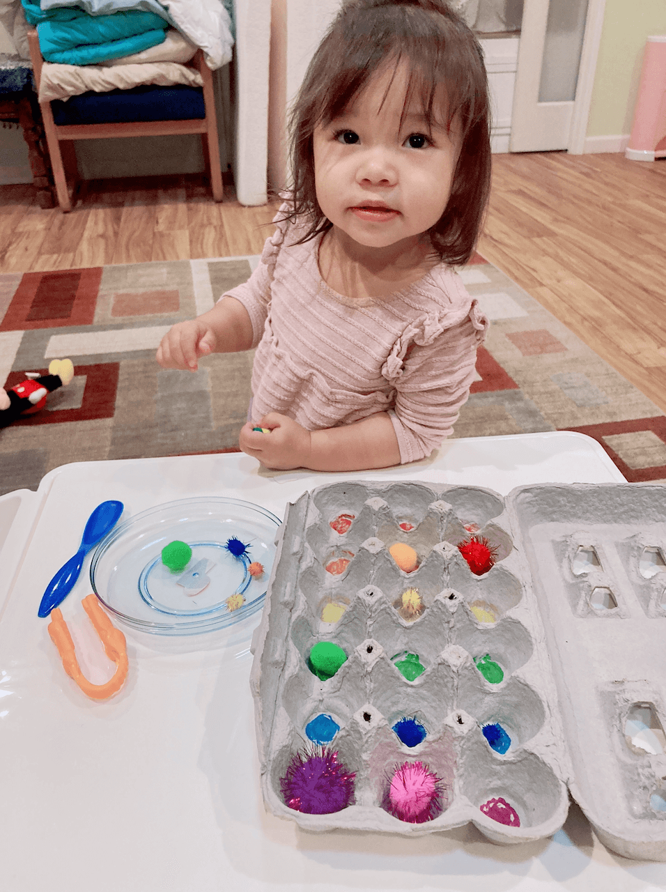 Egg Carton Pom-Pom Sort