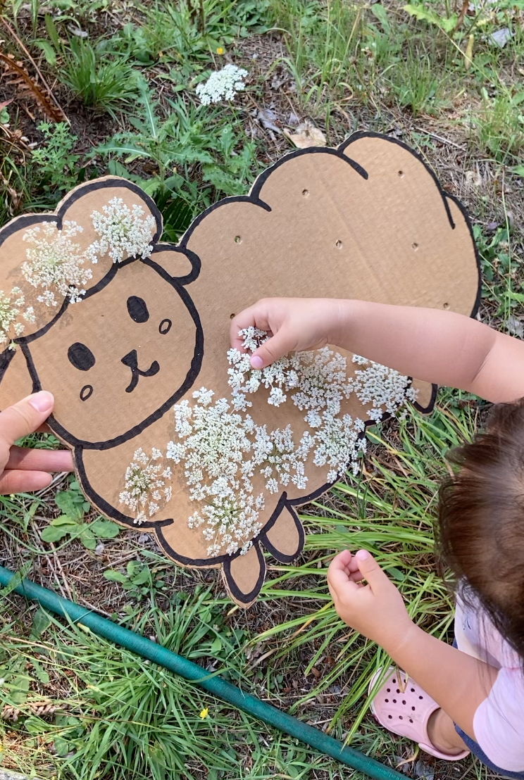 Sheep Nature Craft