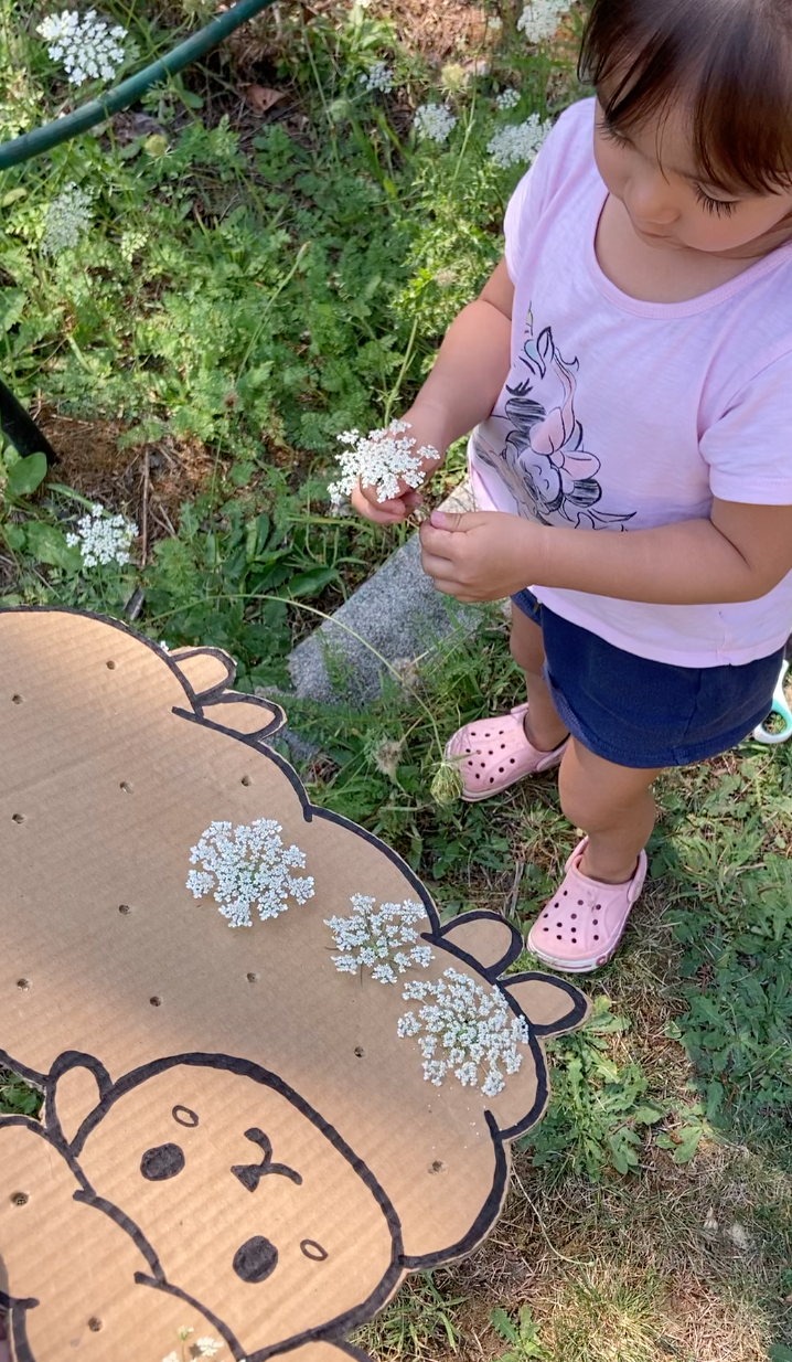 Sheep Nature Craft