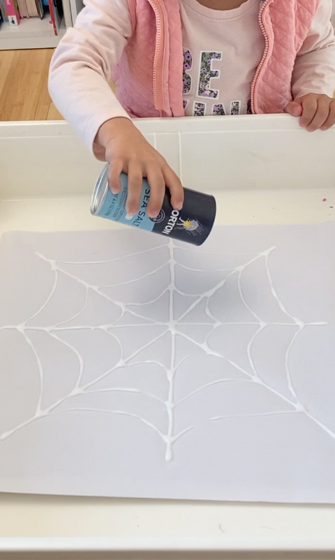 Salt Painting Spider Web