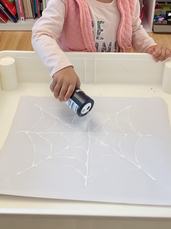 Salt Painting Spider Web