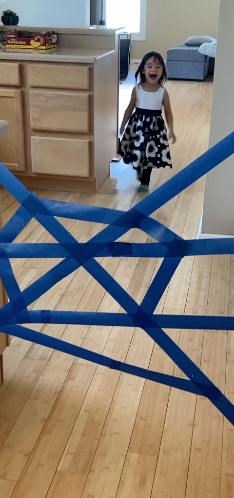 Sticky Tape Spider Web