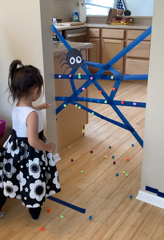 Sticky Tape Spider Web