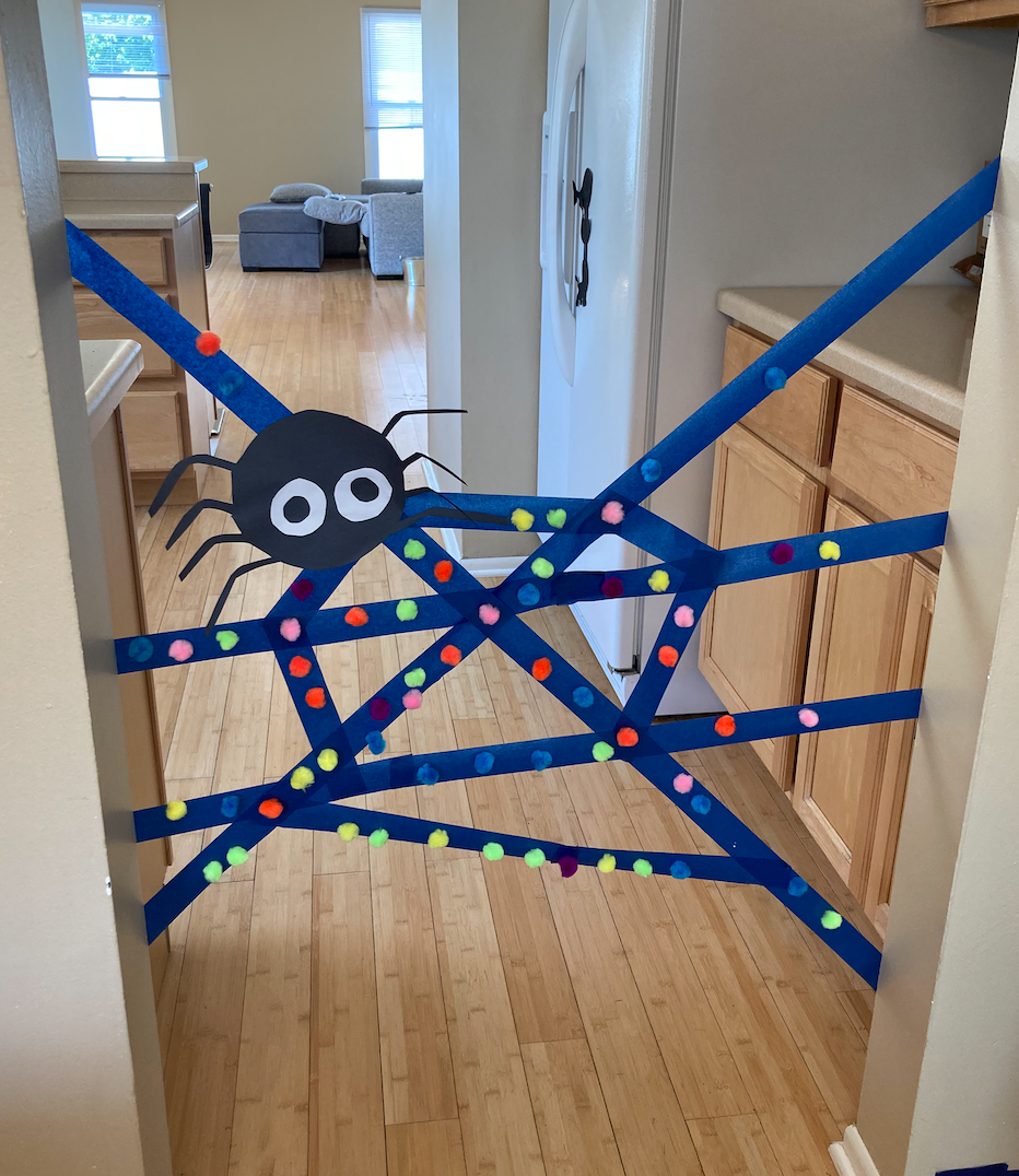 Sticky Tape Spider Web