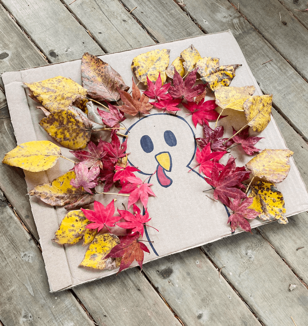 Turkey Nature Craft